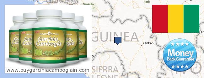 Dónde comprar Garcinia Cambogia Extract en linea Guinea